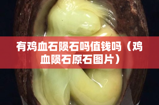 有雞血石隕石嗎值錢嗎（雞血隕石原石圖片）
