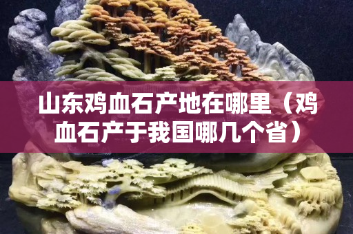 山東雞血石產(chǎn)地在哪里（雞血石產(chǎn)于我國哪幾個省）