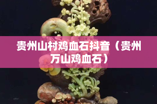 貴州山村雞血石抖音（貴州萬山雞血石）