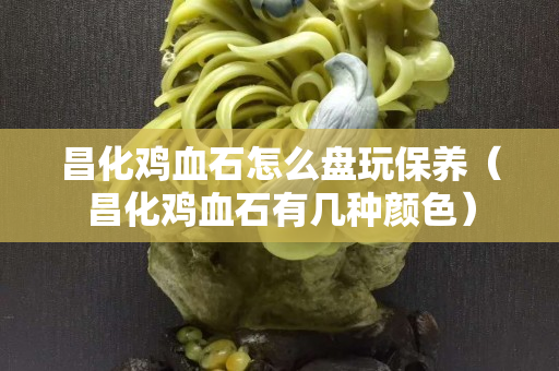 昌化雞血石怎么盤玩保養(yǎng)（昌化雞血石有幾種顏色）