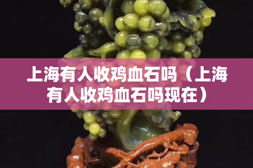 上海有人收雞血石嗎（上海有人收雞血石嗎現在）