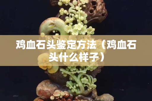 雞血石頭鑒定方法（雞血石頭什么樣子）