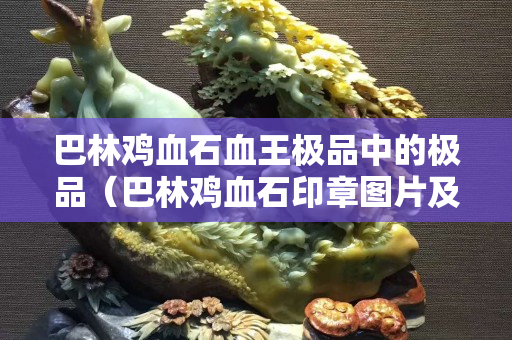巴林雞血石血王極品中的極品（巴林雞血石印章圖片及價(jià)格）