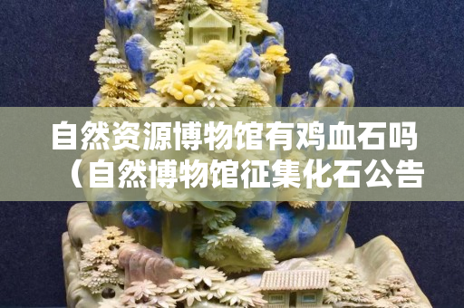 自然資源博物館有雞血石嗎（自然博物館征集化石公告）