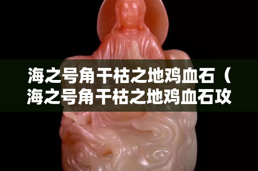 海之號(hào)角干枯之地雞血石（海之號(hào)角干枯之地雞血石攻略）