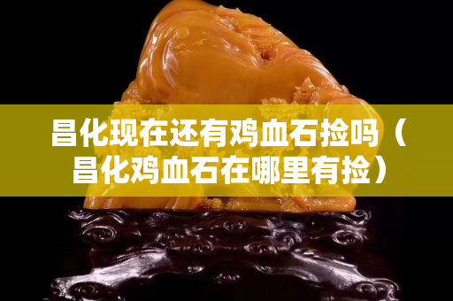 昌化現在還有雞血石撿嗎（昌化雞血石在哪里有撿）
