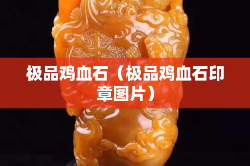 極品雞血石（極品雞血石印章圖片）
