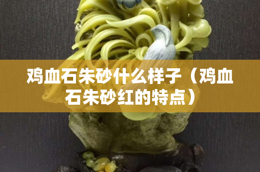 雞血石朱砂什么樣子（雞血石朱砂紅的特點）