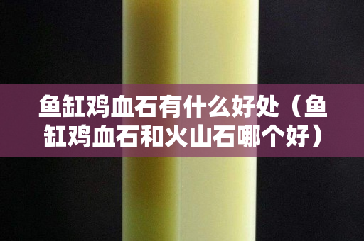 魚缸雞血石有什么好處（魚缸雞血石和火山石哪個好）