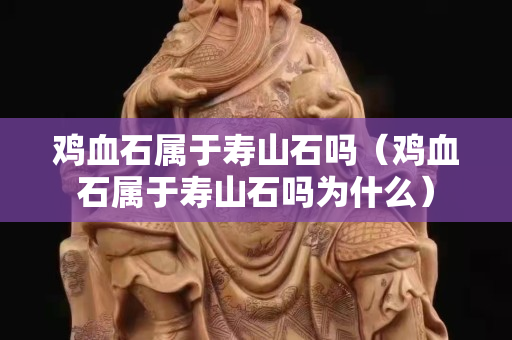 雞血石屬于壽山石嗎（雞血石屬于壽山石嗎為什么）