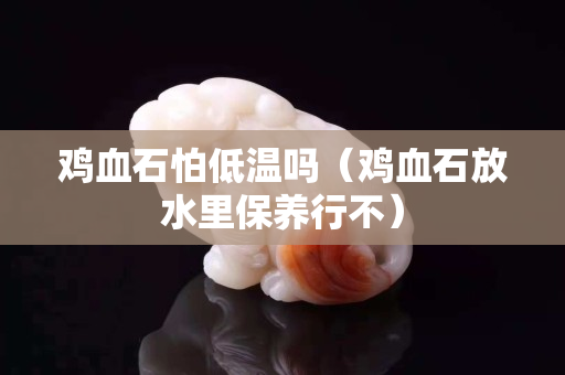 雞血石怕低溫嗎（雞血石放水里保養行不）