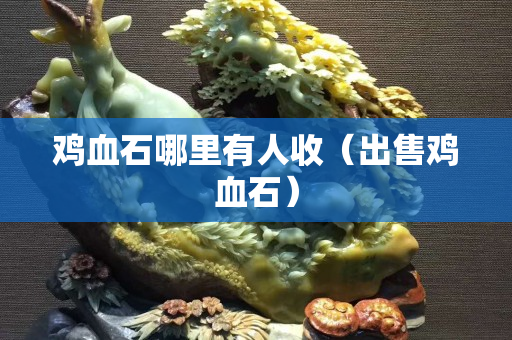 雞血石哪里有人收（出售雞血石）