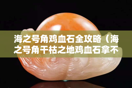 海之號角雞血石全攻略（海之號角干枯之地雞血石拿不了）