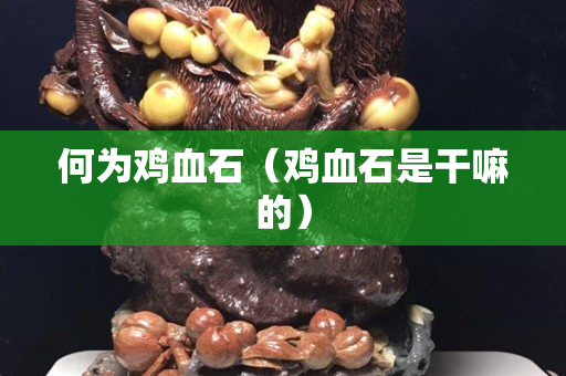 何為雞血石（雞血石是干嘛的）