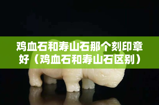 雞血石和壽山石那個刻印章好（雞血石和壽山石區(qū)別）