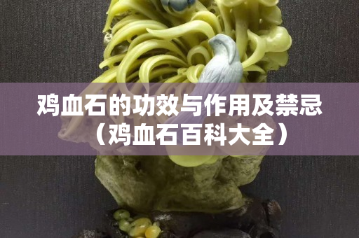 雞血石的功效與作用及禁忌（雞血石百科大全）