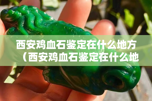 西安雞血石鑒定在什么地方（西安雞血石鑒定在什么地方可以做）