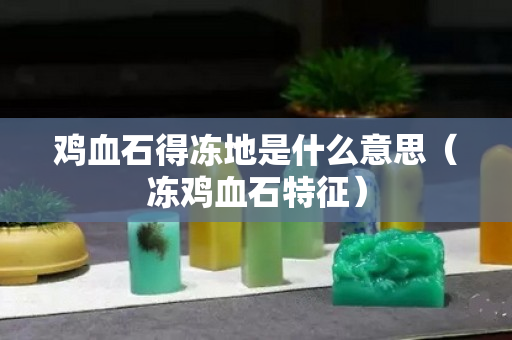 雞血石得凍地是什么意思（凍雞血石特征）