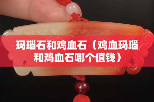 瑪瑙石和雞血石（雞血瑪瑙和雞血石哪個值錢）