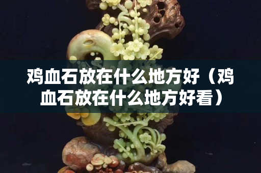 雞血石放在什么地方好（雞血石放在什么地方好看）