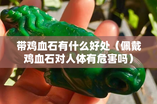 帶雞血石有什么好處（佩戴雞血石對人體有危害嗎）