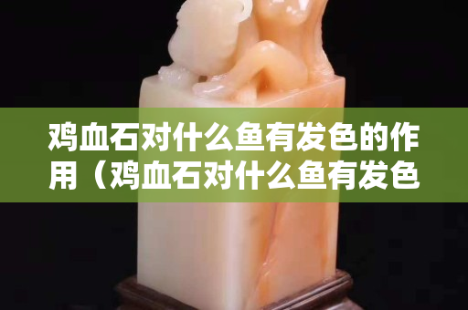 雞血石對什么魚有發色的作用（雞血石對什么魚有發色的作用和功效）