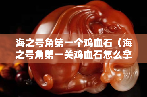 海之號角第一個雞血石（海之號角第一關(guān)雞血石怎么拿）