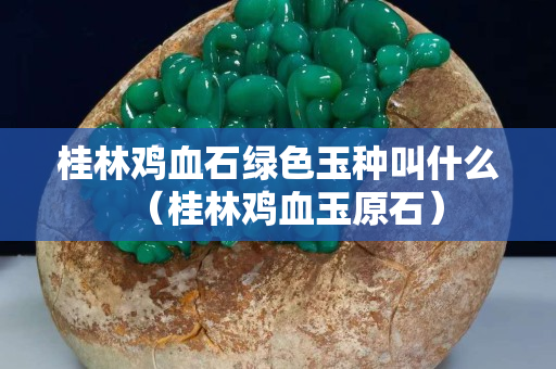 桂林雞血石綠色玉種叫什么（桂林雞血玉原石）