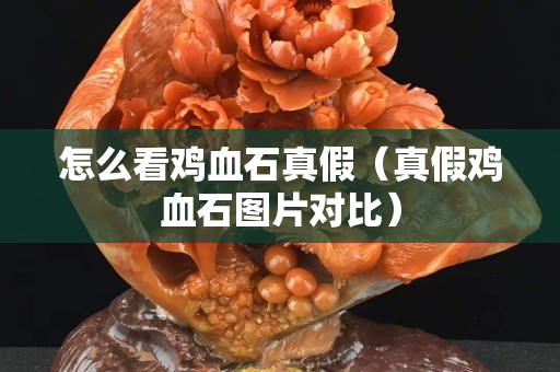 怎么看雞血石真假（真假雞血石圖片對比）
