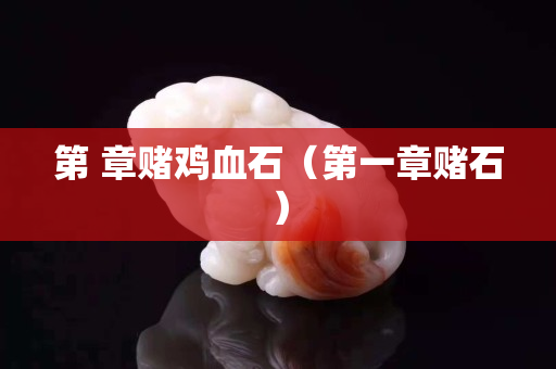 第 章賭雞血石（第一章賭石）