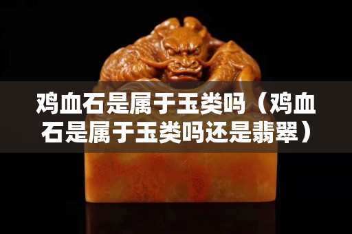 雞血石是屬于玉類嗎（雞血石是屬于玉類嗎還是翡翠）
