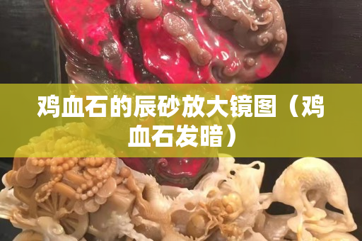 雞血石的辰砂放大鏡圖（雞血石發暗）