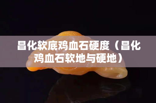 昌化軟底雞血石硬度（昌化雞血石軟地與硬地）