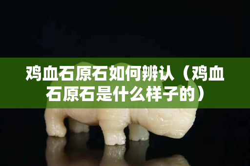 雞血石原石如何辨認(rèn)（雞血石原石是什么樣子的）