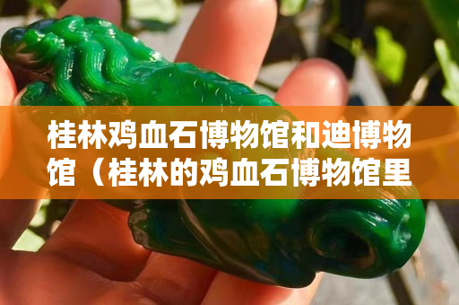 桂林雞血石博物館和迪博物館（桂林的雞血石博物館里邊有真貨嗎）