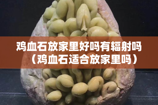 雞血石放家里好嗎有輻射嗎（雞血石適合放家里嗎）