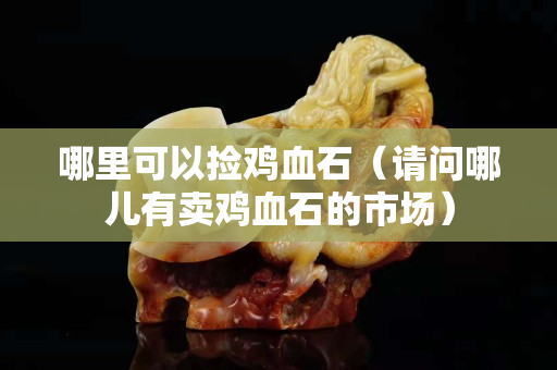 哪里可以撿雞血石（請問哪兒有賣雞血石的市場）