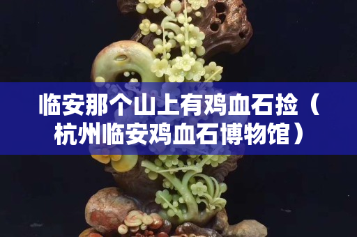 臨安那個(gè)山上有雞血石撿（杭州臨安雞血石博物館）