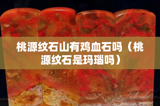 桃源紋石山有雞血石嗎（桃源紋石是瑪瑙嗎）