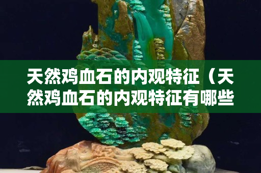 天然雞血石的內觀特征（天然雞血石的內觀特征有哪些）