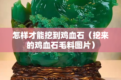 怎樣才能挖到雞血石（挖來的雞血石毛料圖片）