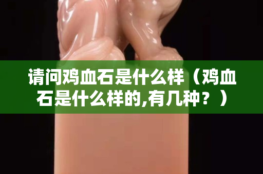 請問雞血石是什么樣（雞血石是什么樣的,有幾種？）