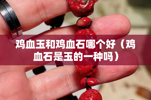 雞血玉和雞血石哪個好（雞血石是玉的一種嗎）