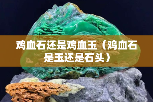 雞血石還是雞血玉（雞血石是玉還是石頭）