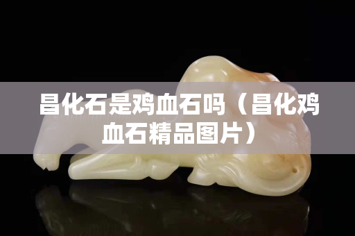 昌化石是雞血石嗎（昌化雞血石精品圖片）