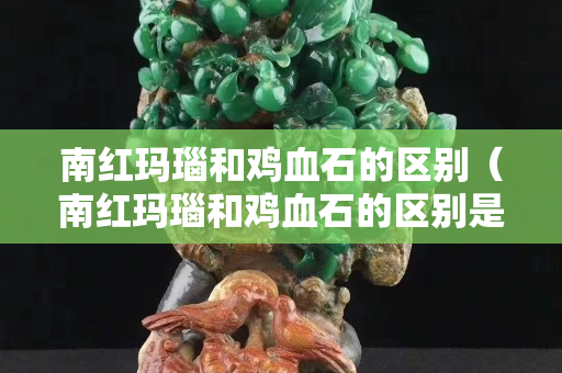 南紅瑪瑙和雞血石的區別（南紅瑪瑙和雞血石的區別是什么）