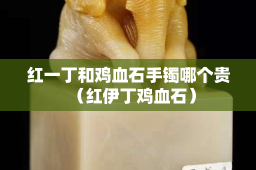 紅一丁和雞血石手鐲哪個(gè)貴（紅伊丁雞血石）