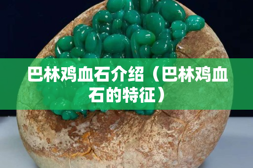 巴林雞血石介紹（巴林雞血石的特征）