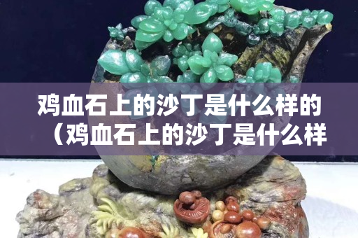 雞血石上的沙丁是什么樣的（雞血石上的沙丁是什么樣的）