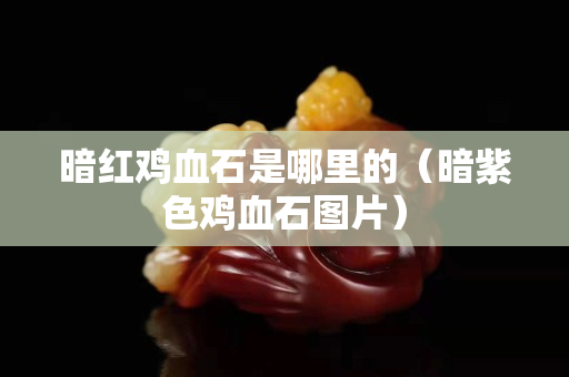 暗紅雞血石是哪里的（暗紫色雞血石圖片）